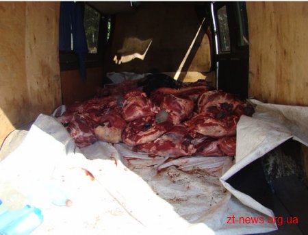 Житомирські міліціонери затримали близько 1,7 тонн м'яса невідомого походження