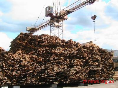 Лісгоспи Житомирщини на чверть скоротили експорт деревини