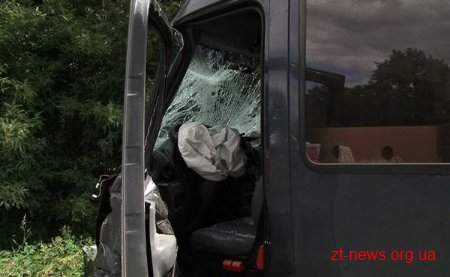 На трасі Житомир-Бердичів влобову зіткнулися Skoda і мікроавтобус