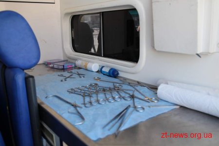 Міжнародний фонд "4 лапи" втретє стерилізував бродячих тварин у Житомирі