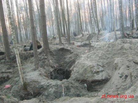 "Чорні копачі" бурштину добралися до словечанських лісів