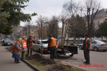 У Житомирі розпочато місячник весняного прибирання міста