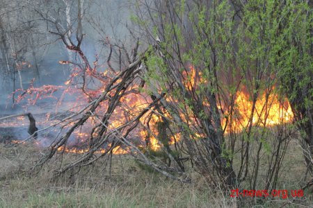 На Житомирщині зберігається пожежна небезпека