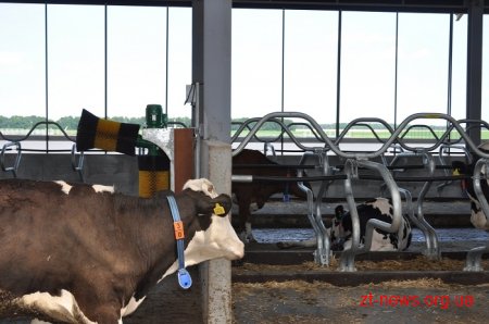 На Житомирщині корів доїтимуть роботи