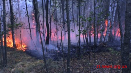 Рятувальники та лісники Житомирщини продовжують ліквідовувати пожежі в екосистемах