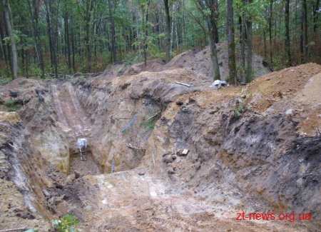 На Житомирщині СБУ та МВС попередили незаконний видобуток напівдорогоцінного каміння