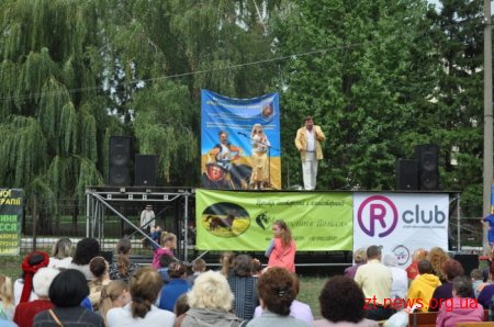 У Житомирі пройшов фестиваль «Свято українського коня»