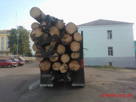 На Житомирщині міліція викрила трійцю підпільних лісорубів