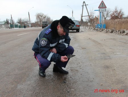 У Житомирі правоохоронці затримали п'яного втікача-учасника ДТП