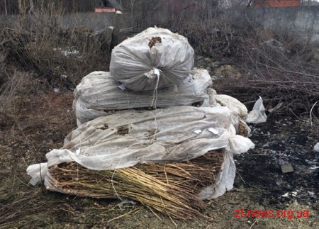 На Житомирщині поліцейські знищили у вогні наркотики