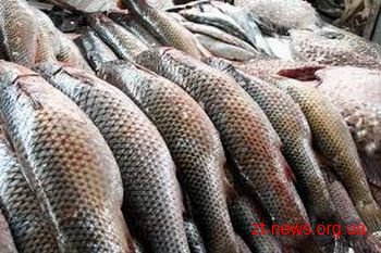 На Житомирщині стартувала заборона на вилов риби