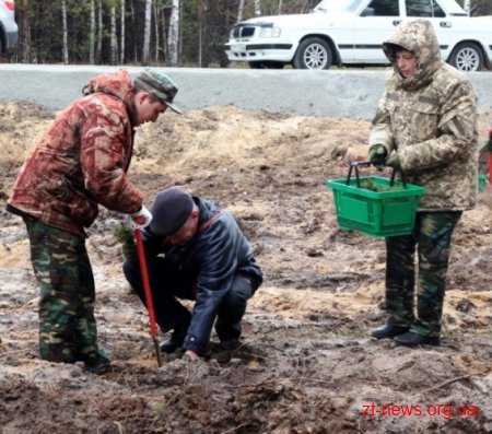 Представники Мінагрополітики посадили ліс на Житомирщині