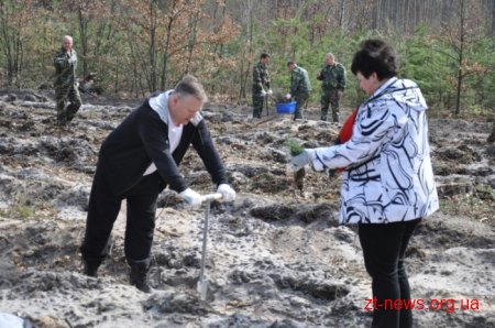Діти та представники влади посадили ліс на Житомирщині