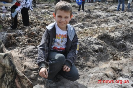 Діти та представники влади посадили ліс на Житомирщині