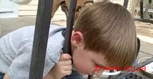 У Житомирі дворічний хлопчик головою застряг у металевому паркані