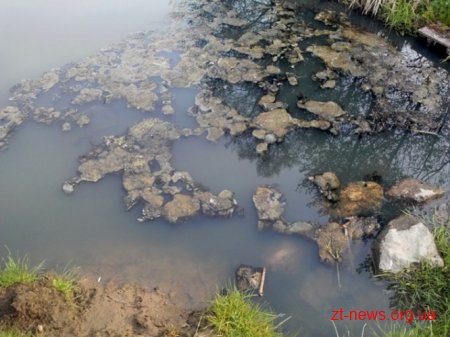Річки у Баранівському районі забруднили знову