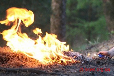На Овруччині лісівники боролися з навмисними підпалами лісу