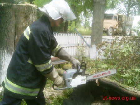 На Житомирщині рятувальники ліквідували займання дерева, яке впало на магазин