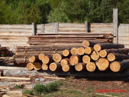 На Житомирщині СБУ викрила фірму-експортера нелегального лісу