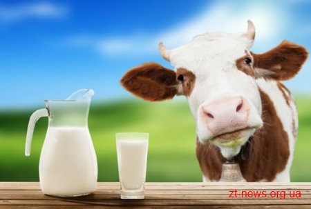 Житомирщина займає 4-те місце в Україні за обсягами виробництва молока
