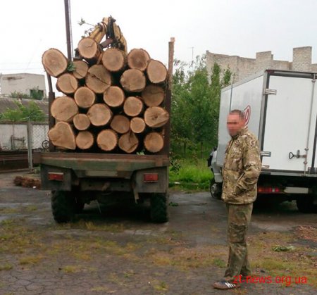 На Житомирщині поліцейські затримали крадіїв лісу