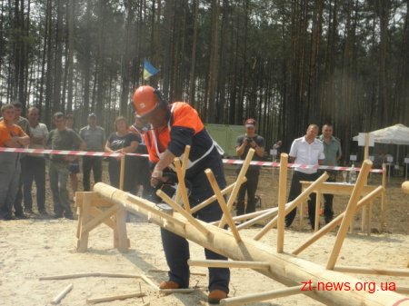 На Житомирщині визначили кращих вальників лісу