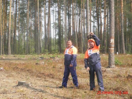 На Житомирщині визначили кращих вальників лісу