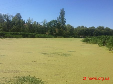 У Баранівському районі водолази обстежили дно забрудненої річки