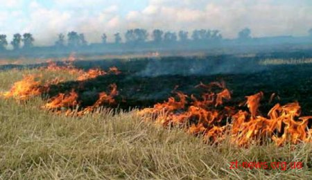 На Житомирщині утримується висока пожежна небезпека