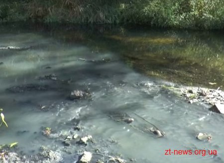 Річка Уж в Коростені стала зоною екологічного лиха