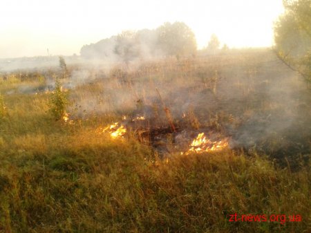 За 3 доби на Житомирщині вогнеборці ліквідували 60 загорянь сухої трави