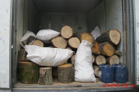 На Житомирщині поліція розслідує крадіжку деревини на 100 тис. грн.