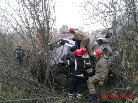 На Житомирщині водій вантажівки заснув за кермом та злетів у кювет