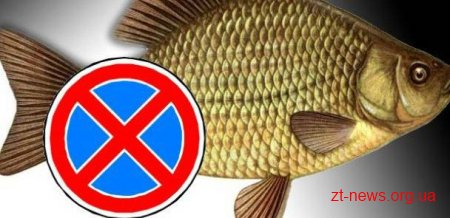 Місця заборони вилову риби на Житомирщині з 5 листопада