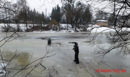 На Житомирщині бійці ДСНС врятували потопаючу собаку
