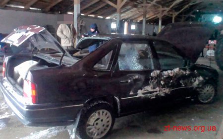 На Житомирщині розшукали чоловіка, який погрозами викрав у пенсіонера автівку