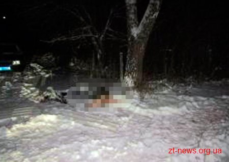 На Житомирщині затримали підозрюваного у вбивстві таксиста