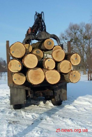 На Житомирщині накладено арешт на деревину, яку перевозили без документів