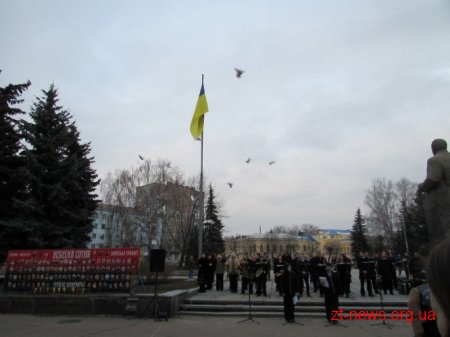 День українського добровольця відзначили у Житомирі