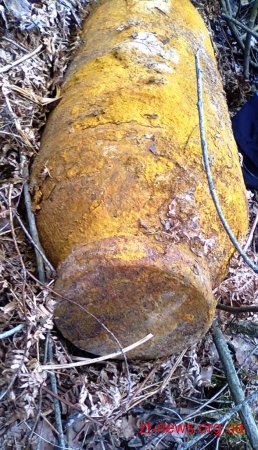 В Олевському районі місцевий житель знайшов 100-кілограмову авіаційну бомбу