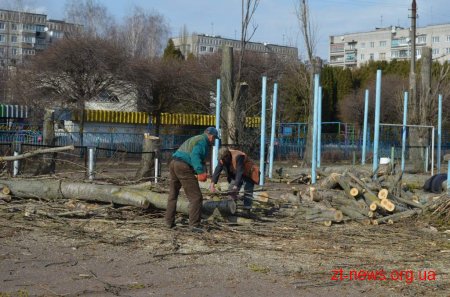 Комунальні служби міста продовжують роботу з прибирання Житомира