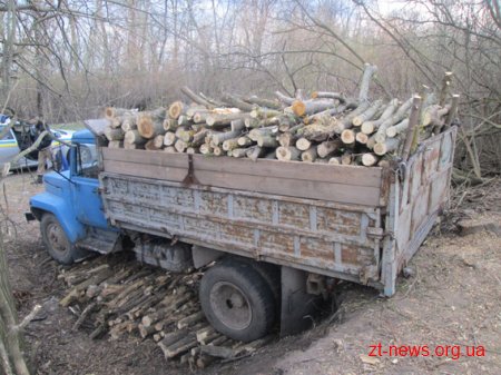 На Житомирщині затримали чоловіків, які незаконно вирубували дерева