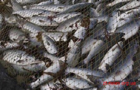 В Ружині затримали браконьєрів, які наловивши риби, заподіяли державі майже 16 тисяч грн. збитків
