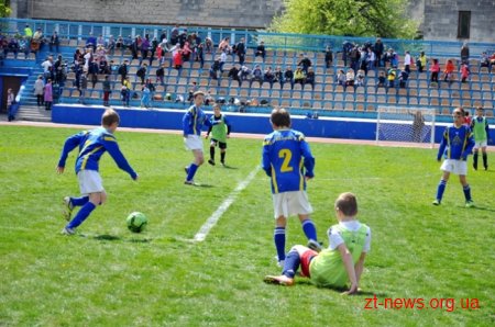 На Житомирщині відзначили Всеукраїнський день футболу