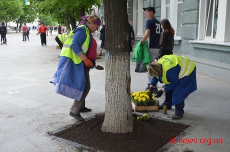 Працівники КП «Зеленбуд» розпочали прикрашати вулицю Михайлівську квітами