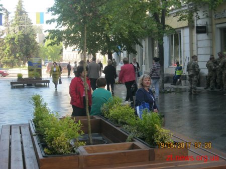 На вулиці Михайлівській встановили нові лавки з вазонами та деревами