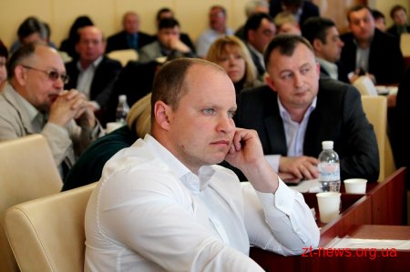 Комісія з питань бюджету підтримала створення КП «Надра Житомирщини»