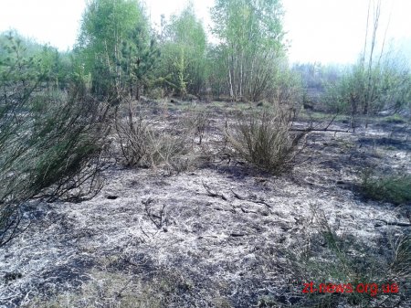 За добу вогнеборцями області ліквідовано загоряння сухої трави та осередку торфу