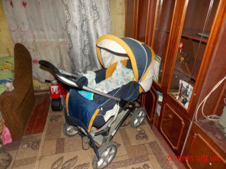 На Житомирщині внаслідок травми голови загинуло немовля