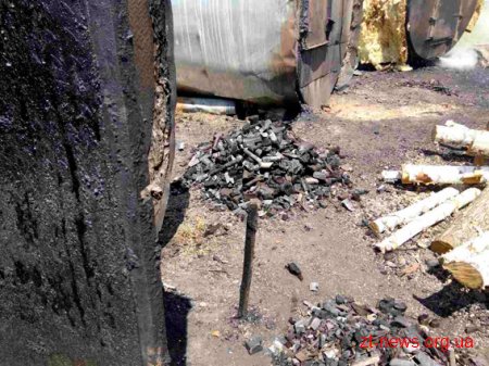 На Житомирщині поліцейські припинили незаконне виробництво деревного вугілля